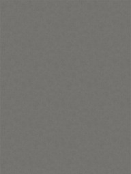 Обои флизелиновые Аспект 1.06 м 70670-42