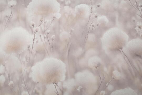 Обои флизелиновые Палитра 1.06 м PL72543-22