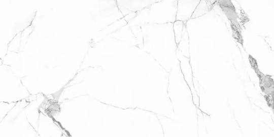 Керамогранит Primovera Colonial white Polished PR206 120*60