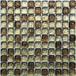 Мозаика NSmosaic S-833 30*30 см