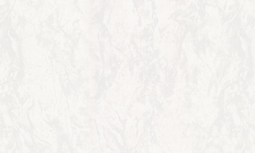 Обои виниловые HomeColor 0.53 м HC11067-11a