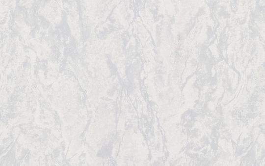 Обои виниловые HomeColor 0.53 м  HC11067-14a