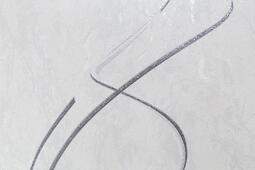 Обои виниловые HomeColor 0.53 м HC11066-11a